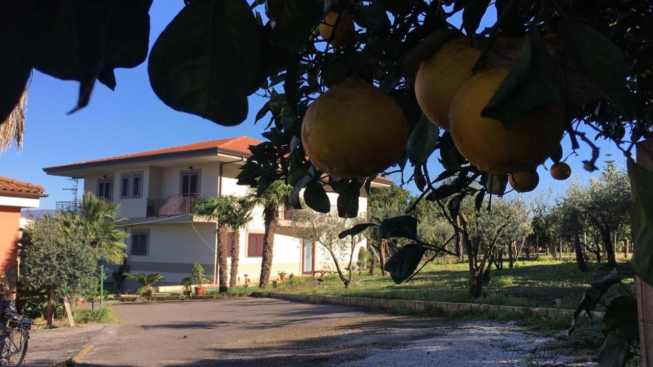 B & B Evergreen Corbara  Exteriér fotografie