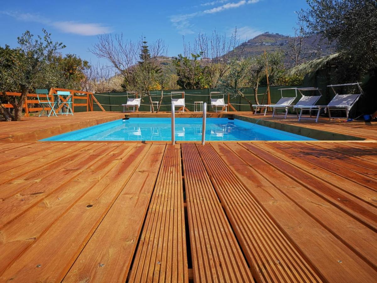 B & B Evergreen Corbara  Exteriér fotografie